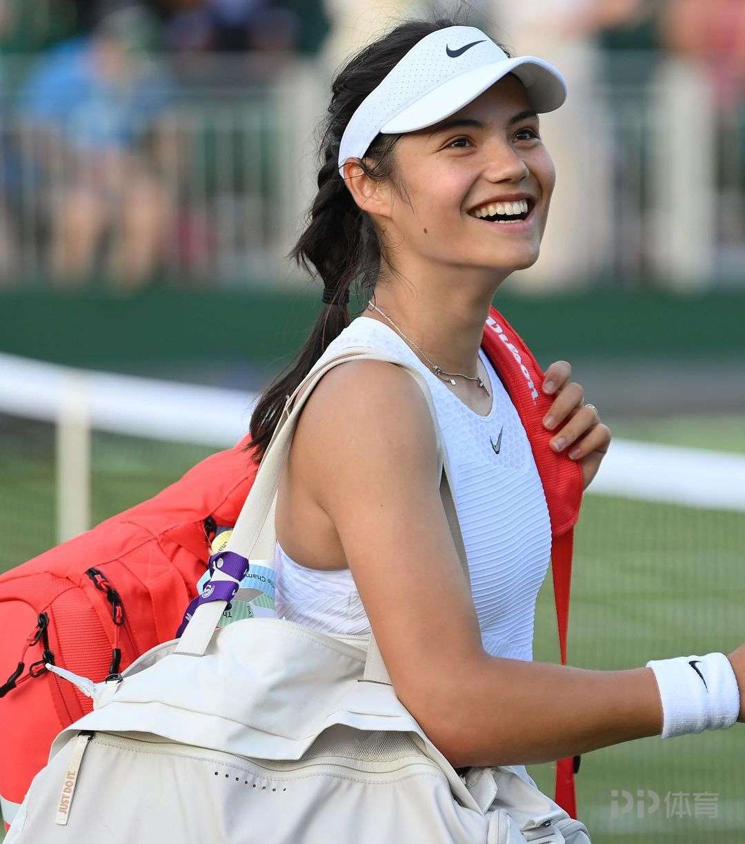 球迷期待 球迷期待